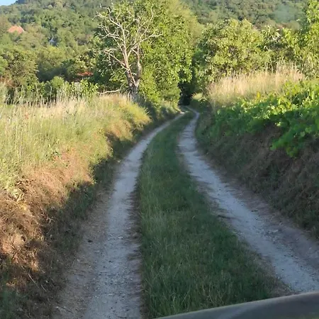 Szent Gyoergy-hegy, Hangulatos Felujitott Preshaz Holiday home Tapolca
